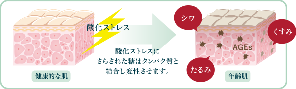 糖とたんぱく質の結合による「糖化」のしくみ