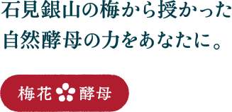 石見銀山の梅から授かった自然酵母の力をあなたに。 梅花酵母