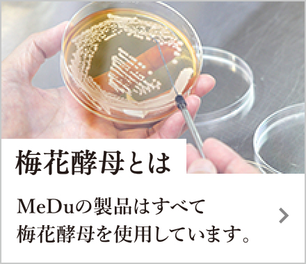 梅花酵母とは